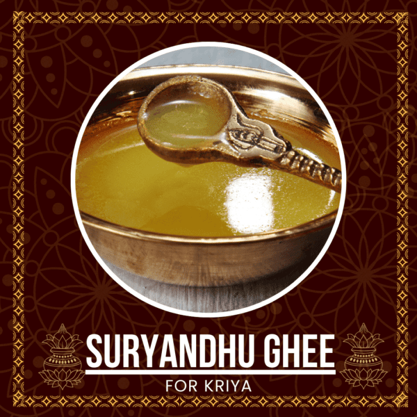 Suryandhu Ghee – The Divine Elixir for Empowering Rituals - 250 ml