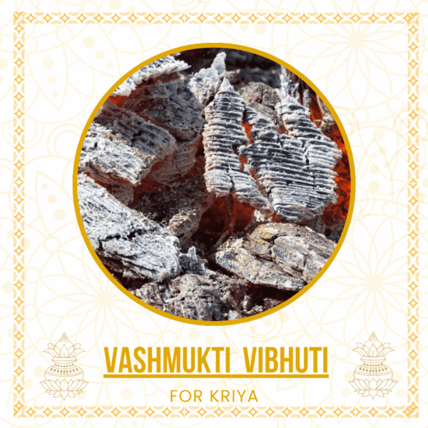 Vashmukti Vibhuti – The Sacred Ash for Releasing Control and Spiritual Liberation - 500 gm