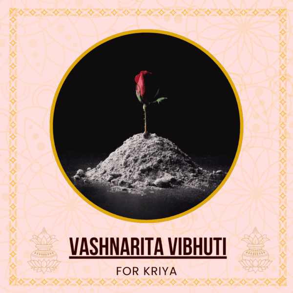 Vashnarita Vibhuti – The Ash of Mystical Control - 500 gm