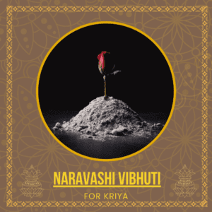 Naravashi Vibhuti – The Ash of Spiritual Mastery and Control  - 500gm