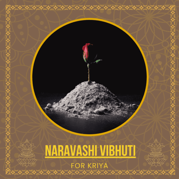 Naravashi Vibhuti – The Ash of Spiritual Mastery and Control  - 500gm