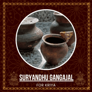 Suryandhu Gangajal – The Sacred Water of Spiritual Purity and Power - 250 ml