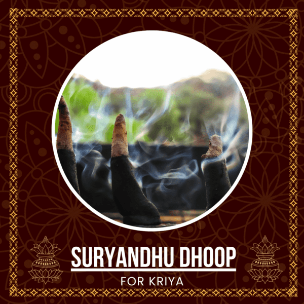 Suryandhu Dhoop – The Fragrant Essence for Spiritual Purification - 51pcs